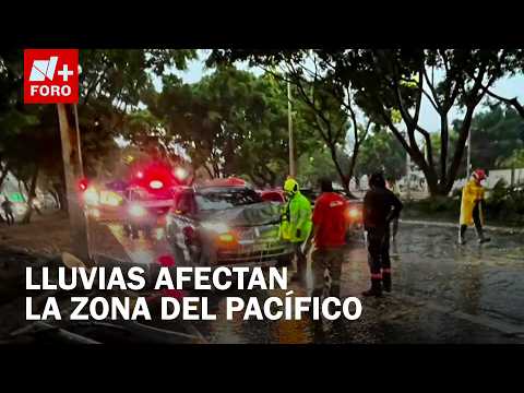 Lluvias y fuertes vientos derribaron árboles en Jalisco thumbnail
