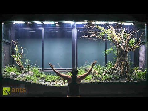 I Built a Giant Tropical Grasslands Vivarium thumbnail