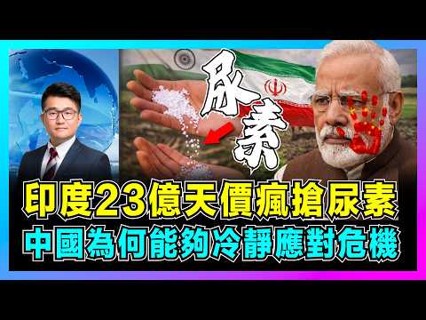 印度23億天價瘋搶尿素，中國為何能夠冷靜應對危機？｜美伊開戰不止是油價漲，霍爾木茲海峽封鎖搞亂化肥供應鏈！【屈機觀察 EP367】 thumbnail