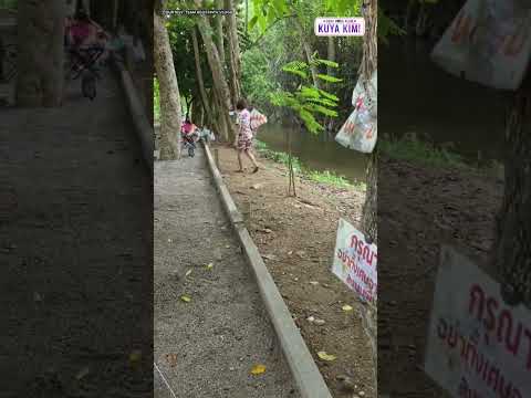 Ano ang wild animal na ito na maamo sa mga tao? | Dami Mong Alam, Kuya Kim! thumbnail