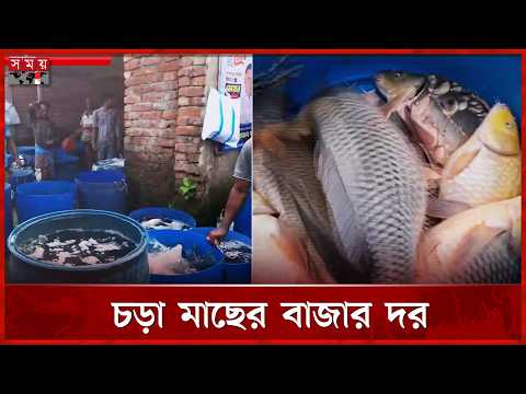 নড়াইলের পাইকারি বাজারে মাছ সরবরাহ স্বাভাবিক থাকলেও চড়া দাম | Fish Bazar | Narail News | Somoy TV thumbnail