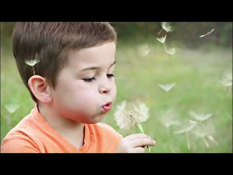 🎵 3. 작은 별 탐험대 (Little Star Explorers) thumbnail