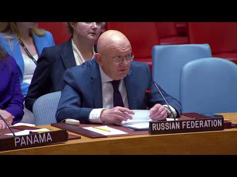 «Вы не считаете наших детей людьми» — Небензя — европейцам, проигнорировавшим жертв в Старобельске thumbnail