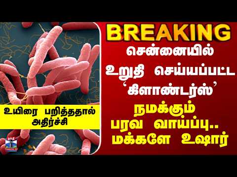 Glanders Disease| சென்னையில் உறுதி செய்யப்பட்ட `கிளாண்டர்ஸ்' - நமக்கும் பரவ வாய்ப்பு.. மக்களே உஷார் thumbnail