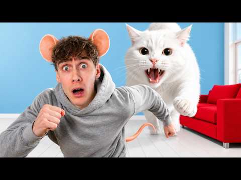 Job Vs Kat! thumbnail