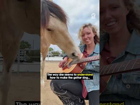 Horses are so intelligent 🥹 thumbnail