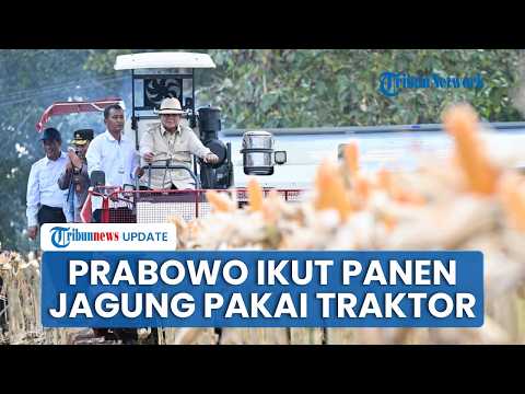 Aksi Prabowo Nyetir Traktor saat Panen Raya Jagung di Tuban, Didampingi Kapolri hingga Mentan Amran thumbnail