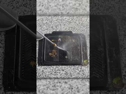 Cleaning This Floor Mat Was a PAIN... thumbnail