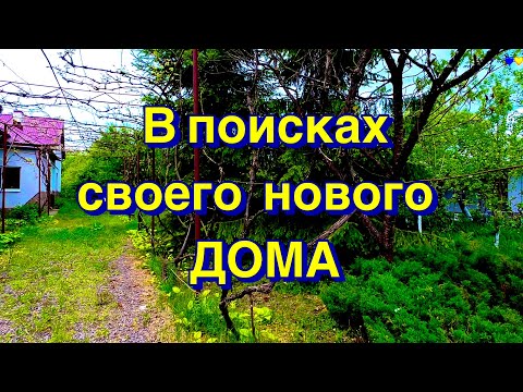 В поисках СВОЕГО нового ДОМА | Первый просмотр  thumbnail