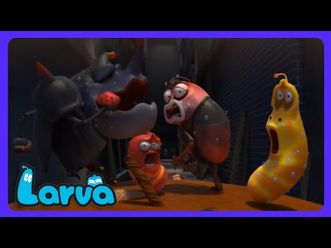 Larva - ¡Súper bola gigante rodante! 💩 | Dibujos Infantiles | WildBrain Niños thumbnail