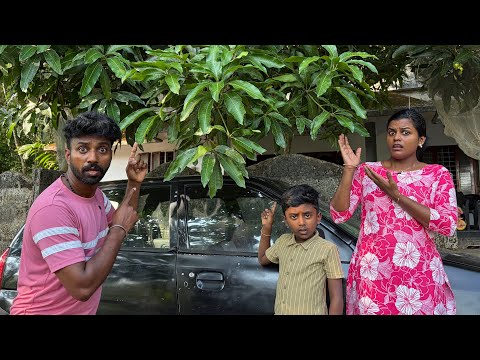 പൂക്കാത്ത കയും കായ്ക്കാത്ത പൂവും കായ്ക്കും? #kerala #malayalam  thumbnail