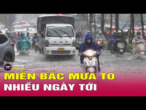 Tin tức 24h mới nhất ngày 17/5/2026 | Miền Bắc mưa to nhiều ngày tới, cập nhật vụ Lexus gây phẫn nộ thumbnail
