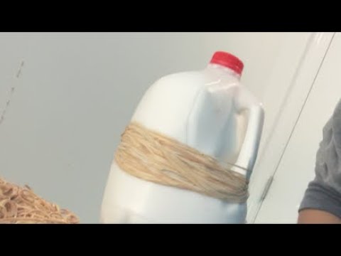 MILK EXPLOSION!!!! thumbnail