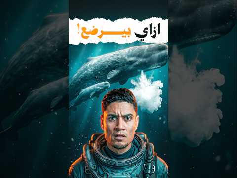 ازاي بيرضع في وسط الميه!! thumbnail