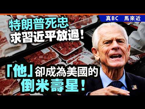 特朗普死忠求習近平放過！「他」卻成為美國的倒米壽星！ thumbnail