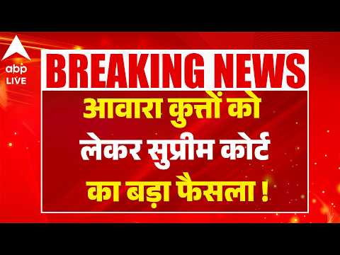 Supreme Court Verdict on Stray Dogs: आवारा कुत्तों को लेकर  सुप्रीम कोर्ट का बड़ा फैसला ! |ABPLIVE thumbnail