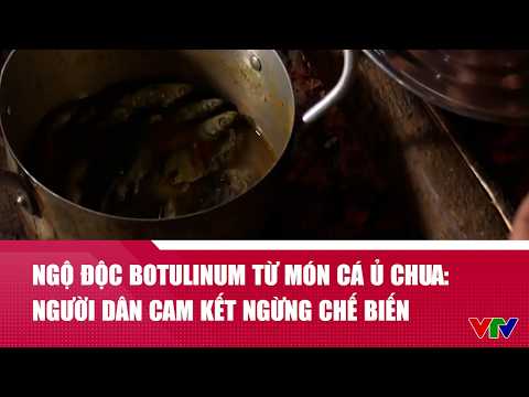 Ngộ độc botulinum từ món cá ủ chua: Người dân miền núi Đà Nẵng cam kết ngừng chế biến | VTV24 thumbnail