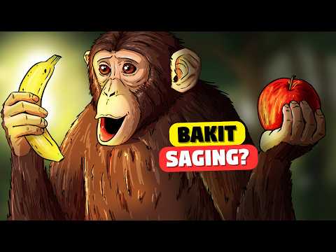 Saging ba Talaga ang Paborito ng mga Unggoy? thumbnail