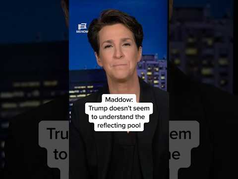 Maddow: Trump doesn't seem to understand the reflecting pool thumbnail