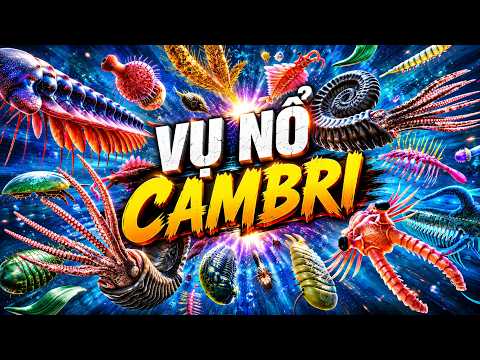 #1079 Điều Gì Đã Thực Sự Xảy Ra Trong Vụ Nổ Cambri 540 Triệu Năm Trước? thumbnail