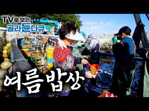 🍚입맛 없는 여름? 이거 보면 오늘 저녁 무조건 밥 두 공기 뚝딱입니다.🍚 여름 제철 밥상 1시간 몰아보기｜한국기행｜#tv로보는골라듄다큐 thumbnail