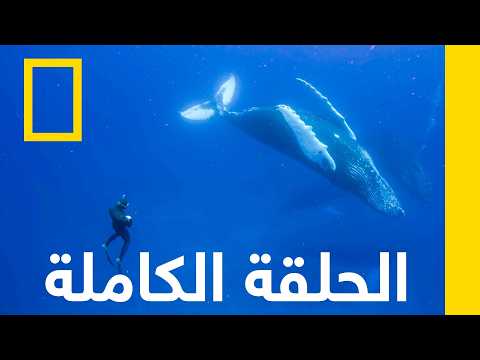 طريق هامرهيد السريع | ناشونال جيوغرافيك أبوظبي thumbnail