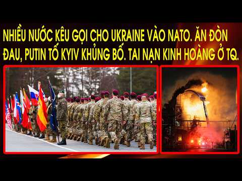 Tai nạn kinh hoàng ở TQ. Nhiều nước kêu gọi cho Ukraine vào NATO. Ăn đòn đau, Putin tố Kyiv khủng bố thumbnail