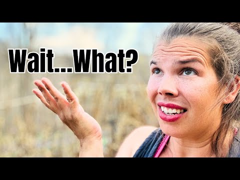 You Don’t Have To Weed Your Garden Anymore? thumbnail