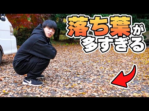 自宅の落ち葉が尋常じゃない件【掃地獄】 thumbnail