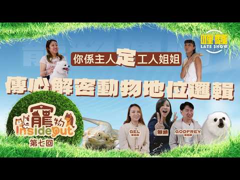 《寵物Inside Out》第七集預告 thumbnail