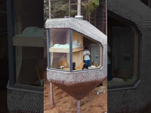 HEFTIGES BAUMHAUS AIRBNB 🤩 thumbnail