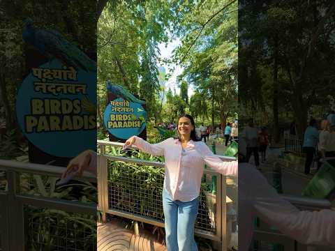 I saw penguins in Mumbai 😍 thumbnail