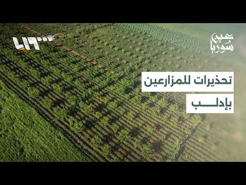 موسم الصيد يبدأ بريف دمشق.. وتحذيرات زراعية للمزارعين بإدلب | عين سوريا thumbnail