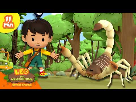 BEWARE OF THE BRAZILIAN YELLOW SCORPION! | Leo the Wildlife Ranger | Educational Animal Cartoons thumbnail
