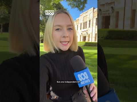 Students can expect a 2.8% jump in their HECS debt today | ABC NEWS Loop thumbnail