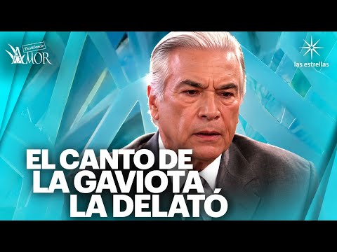 Néstor revela la verdad sobre cómo descubrieron a Gaviota | Destilando Amor | Capítulo 47 1/2 thumbnail