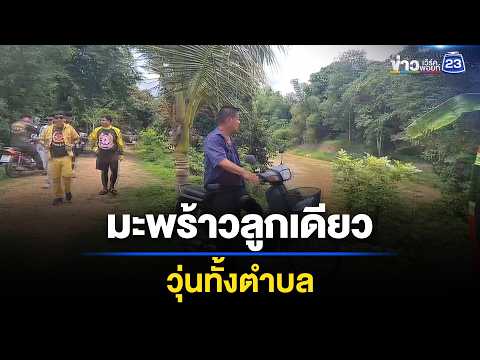 วุ่นทั้งตำบล! เพราะมะพร้าวลูกเดียว l ตลาดข่าว - ข่าวเช้าเวิร์คพอยท์ l 1 มิ.ย.69 thumbnail