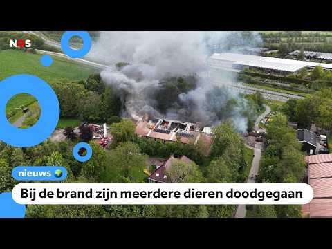 Grote brand bij dierenpark in Veenwouden thumbnail