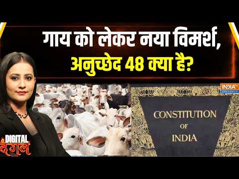 Cow As India's National Animal: गाय को लेकर नया विमर्श, अनुच्छेद 48 क्या है? | India TV thumbnail