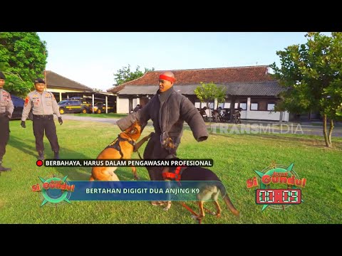 Si Botak Berlatih Bersama Anjing K-9 | JEJAK SI GUNDUL (21/05/26) P1 thumbnail