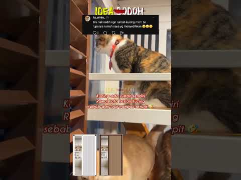 BILA RUMAH KUCING AKAK "LAGI MEWAH DARI MANUSIA" thumbnail