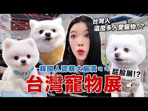 韓國人第一次逛台灣寵物展！？現場人多到嚇到…台灣人真的太愛寵物了? thumbnail