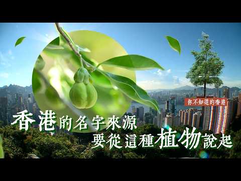【你不知道的香港】香港的名字，竟來自一種植物 thumbnail