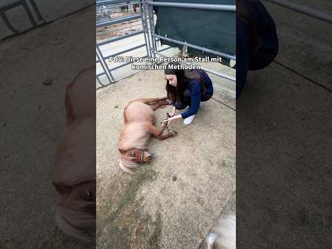 Habt ihr besondere Methoden?✨😂 @heyhorse9017  #horse #equestrian #fail #pony #pov thumbnail