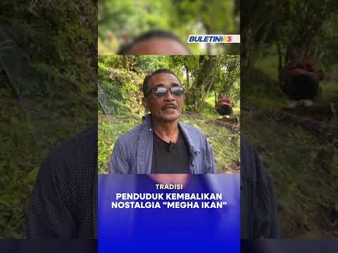 TRADISI | Penduduk Kembalikan Nostalgia "Megha Ikan" thumbnail