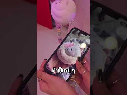 วิวัฒนาการน้อนกาชาแบร์ โดย กานต์ระบาย 🤣 #GACHABEAR #กาชาแบร์บ้านหมี #bearhousethailand thumbnail