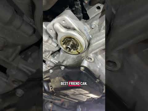 Perfect oil change thumbnail