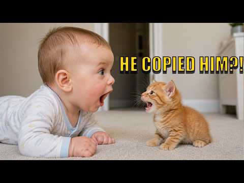 My Baby Tried to Talk Like My Cat… This Happened ??? thumbnail