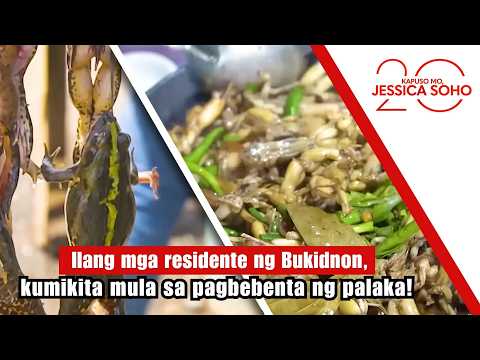 Ilang mga residente ng Bukidnon, kumikita mula sa pagbebenta ng palaka! | Kapuso Mo, Jessica Soho thumbnail