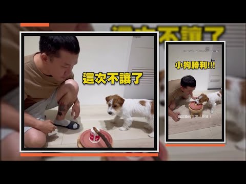 香蕉被爸爸搶先吃掉　小狗傻眼：你多餓？ thumbnail